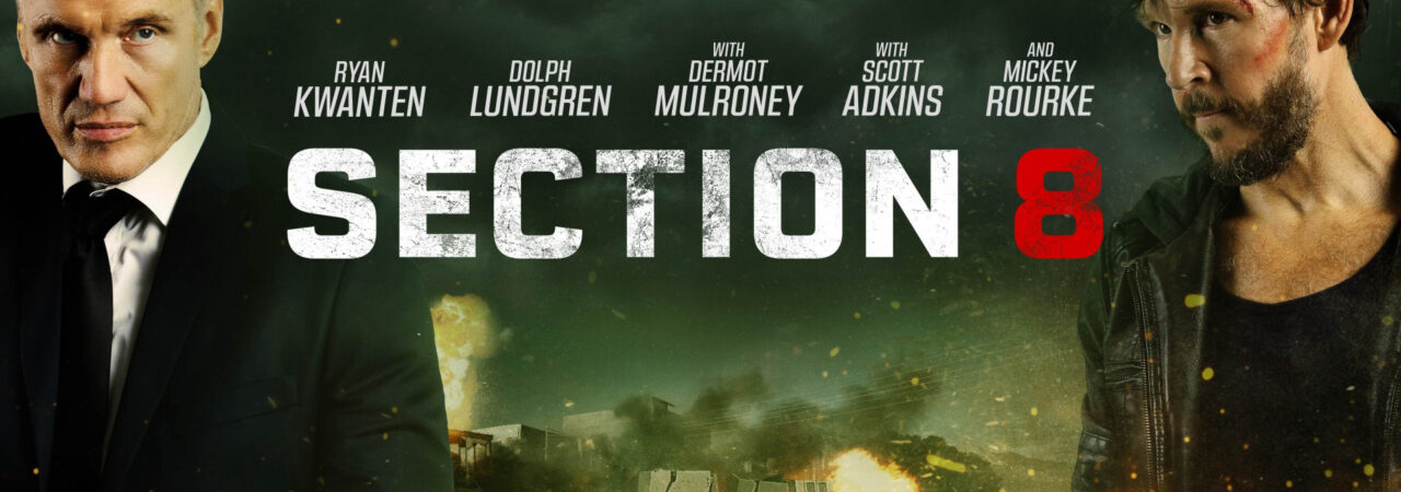 Poster of Section 8