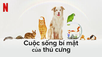 Phim Cuộc sống bí mật của thú cưng HD Vietsub