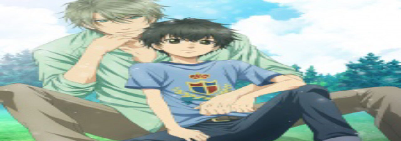 Poster of Super Lovers