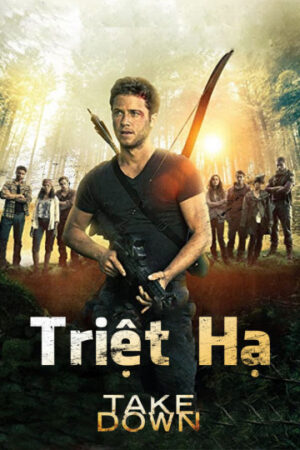 Poster of Triệt Hạ