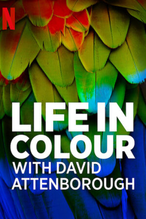 Xem Phim David Attenborough Sự sống đầy màu sắc 1 HD Vietsub-Life in Colour with David Attenborough