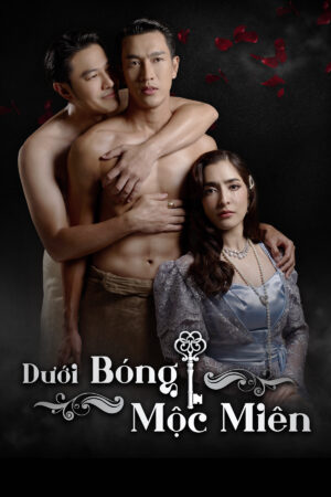 Xem Phim Dưới Bóng Mộc Miên 41 HD Vietsub + Thuyết minh-House Of The Dark Shadows