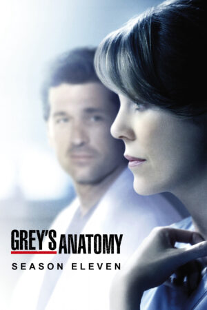 Xem Phim Ca Phẫu Thuật Của Grey ( 11) 4 HD Vietsub-Greys Anatomy (Season 11)