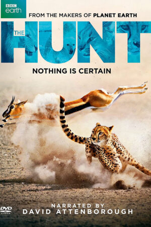 Xem Phim Săn Mồi 1 HD Vietsub-BBC The Hunt