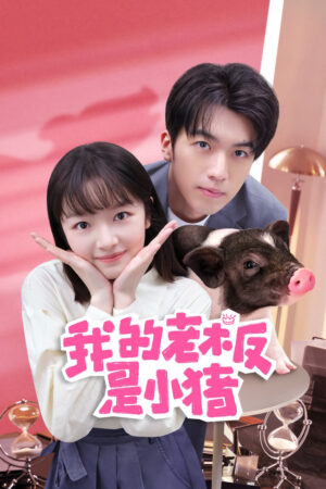 Xem Phim Sếp Của Tôi Là Chú Lợn Nhỏ 9 HD Vietsub-My Piggy Boss