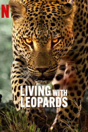 Phim Living with Leopards HD Vietsub