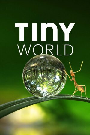 Xem Phim Thế Giới Siêu Nhỏ ( 1) 4 Vietsub-Tiny World (Season 1)