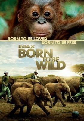 Xem Phim Những Loài Vật Mồ Côi full HD Vietsub-Born to Be Wild