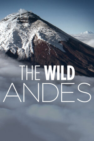 Phim The Wild Andes HD Vietsub