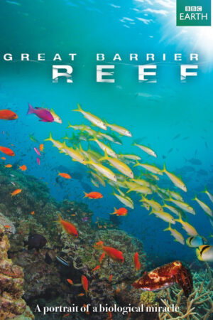 Phim Great Barrier Reef HD Lồng Tiếng